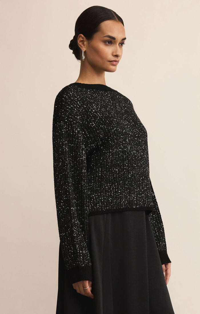 Z Supply Black Gleam Sequin Sweater