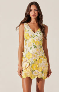 Aisha Dress