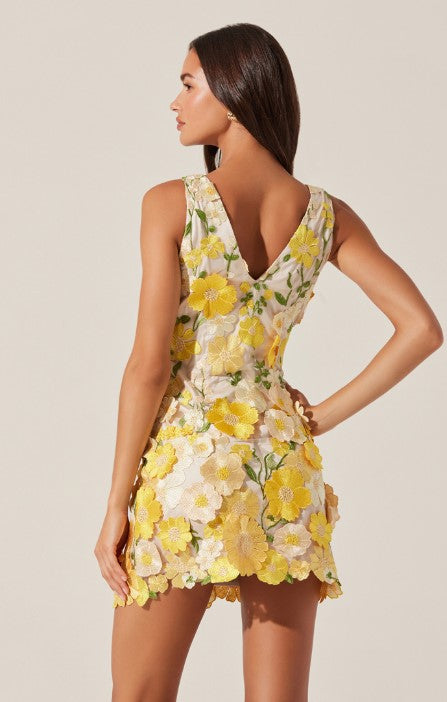 Aisha Dress