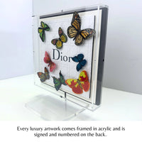 Stephen Wilson Studio Dior Navy Butterfly Swarm 12"x12"